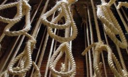354 exécutions depuis le début de l'année en Iran