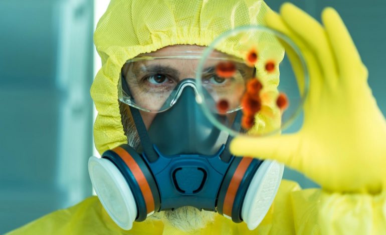 Chapare, ce virus proche d’Ebola qui inquiète les scientifiques