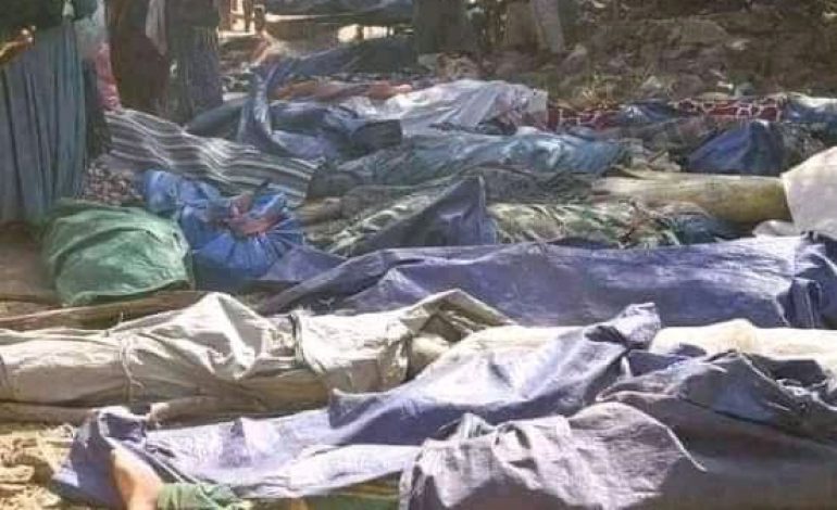 Plus de 100 personnes tuées à Benishangul-Gumuz, dans l’ouest de l’Ethiopie