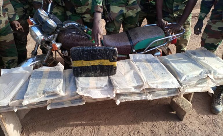 L’Armée Sénégalaise a saisi plusieurs tonnes de chanvre indien dans des bases rebelles en Casamance