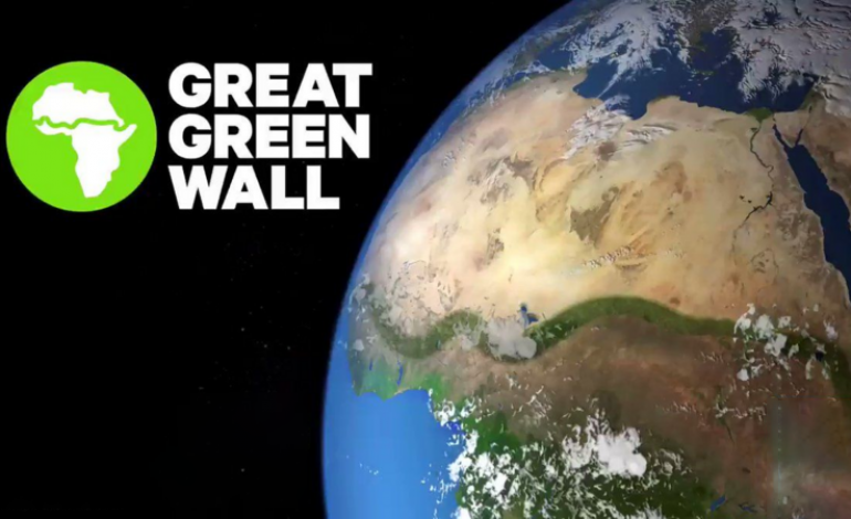 La BAD annonce un engagement de 6,5 milliards de dollars pour la Grande Muraille Verte