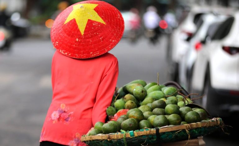 Plus de 100 records de température au Vietnam, écrasé par une vague de chaleur meurtrière avec 44°C
