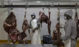Appel aux amateurs de viande de zèbre et de gnou sud-africains