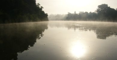 Le Parc national du Niokolo-Koba sort de la Liste du patrimoine mondial en péril